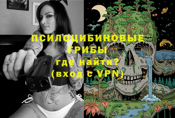 бошки Алзамай