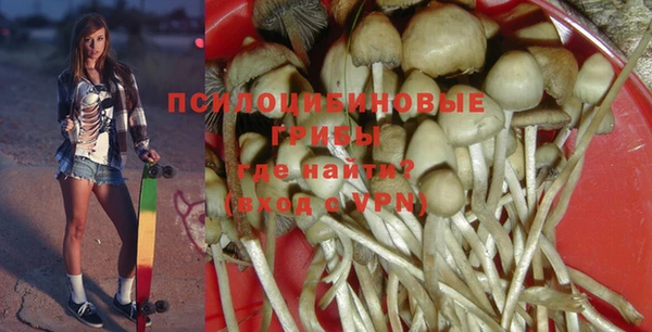 a pvp Алексин