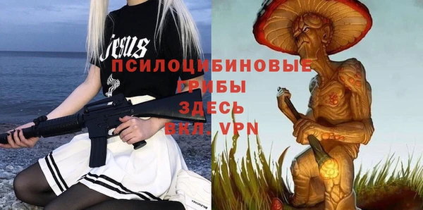 PSILOCYBIN Абдулино