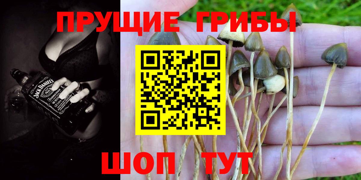 Псилоцибиновые грибы Magic Shrooms Нововоронеж